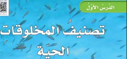تصنيف المخلوقات الحية